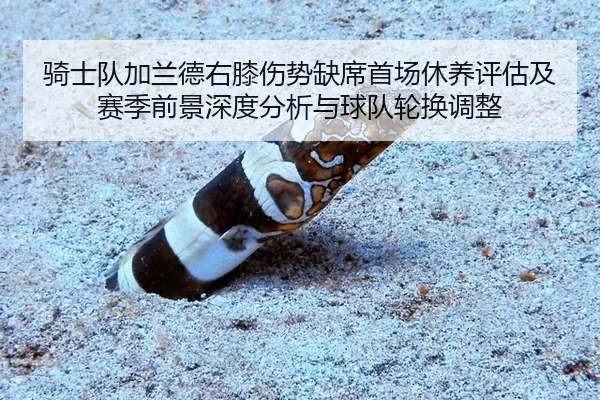 qi-shi-dui-jia-lan-de-you-xi-shang-shi-que-xi-shou-chang-xiu-yang-ping-gu-ji-sai-ji-qian-jing-shen-du-fen-xi-yu-qiu-dui-1-266.jpg