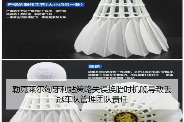勒克莱尔匈牙利站策略失误换胎时机晚导致丢冠车队管理团队责任