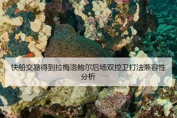 kuai-chuan-jiao-yi-de-dao-la-mei-luo-bao-er-hou-chang-shuang-kong-wei-da-fa-jian-rong-xing-fen-xi-3-928.jpg